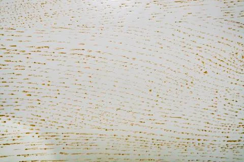 Wood panel background. Stock Photos