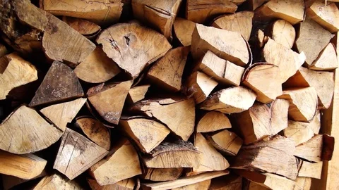 Wood panorama. Stock Footage 75488237