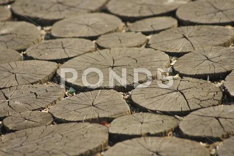 Wood path detail Stock Photos