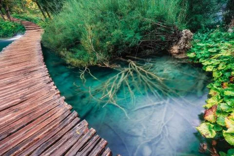 Wood path over lakes Stock Photos