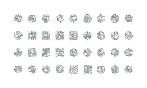 Wood pattern, age concentric rings of trunk in cross section, topography line Stock Illustration