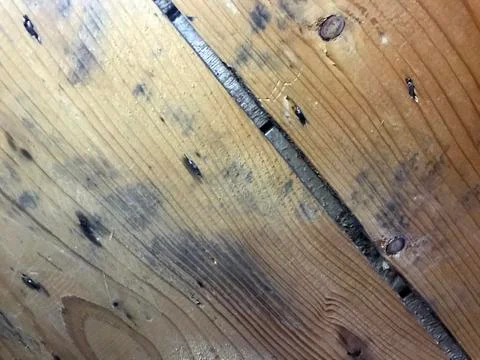 Wood pattern background abstract timber nature design. Brown hardwood floor p Stock Photos