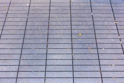 Wood pattern background with leaves and other dirt on the ground Stock Photos