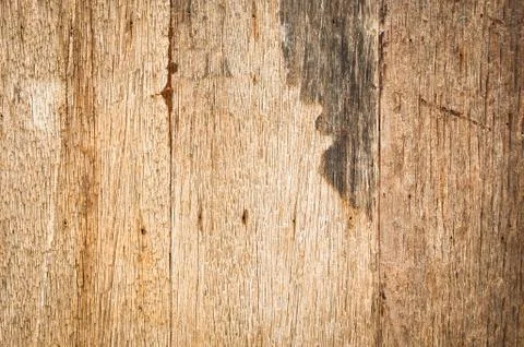 Wood pattern Stock Photos