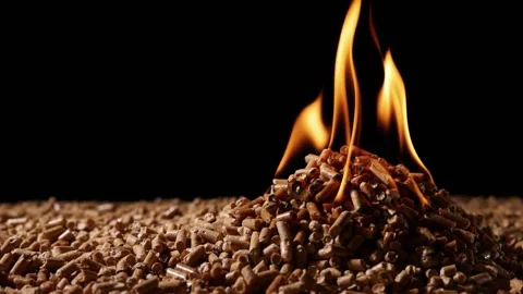 Wood pellets being lite on fire production pressed wood as an alternative b.. Stock Footage 272788162