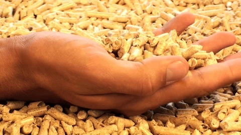 Wood pellets Vidéo 85692583