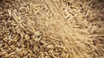 Wood pellets Stock Footage 85692898