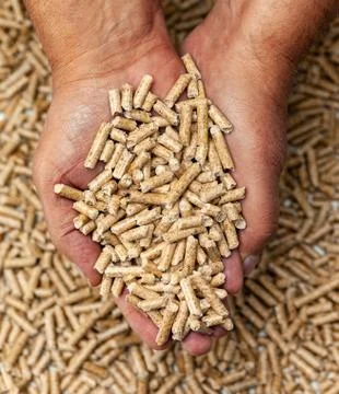 Wood pellets in hands. Stock Photos