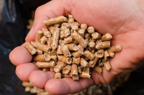 Wood pellets Stock Photos