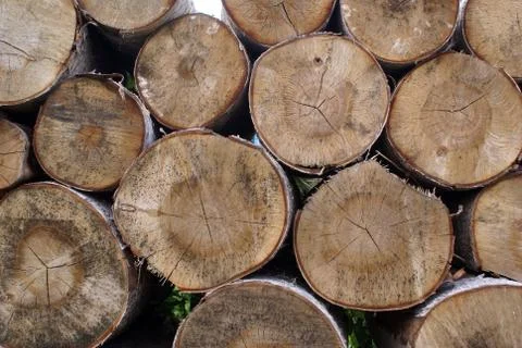 Wood Stock Photos