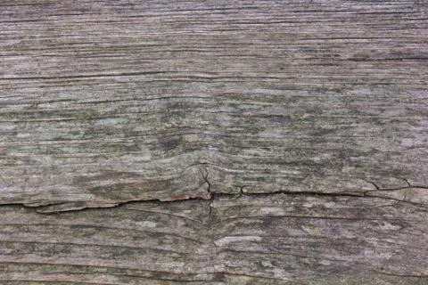 Wood Stock Photos
