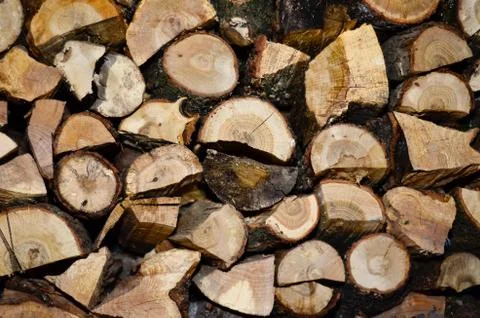 Wood Stock Photos