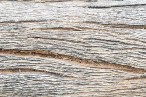 Wood Stock Photos