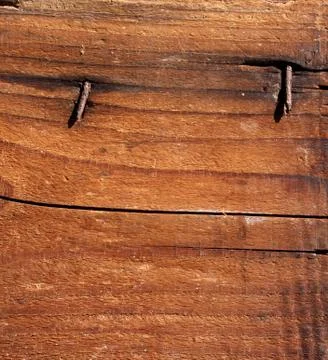 Wood Фото
