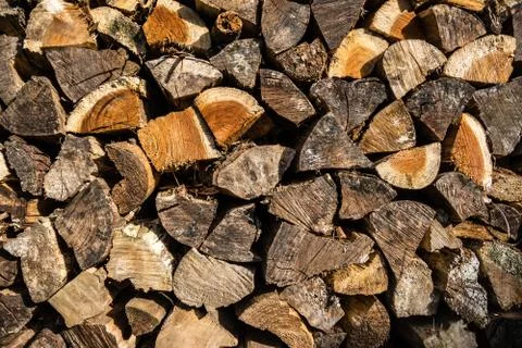Wood Foto stock