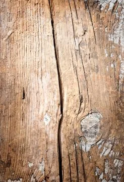 Wood 写真素材