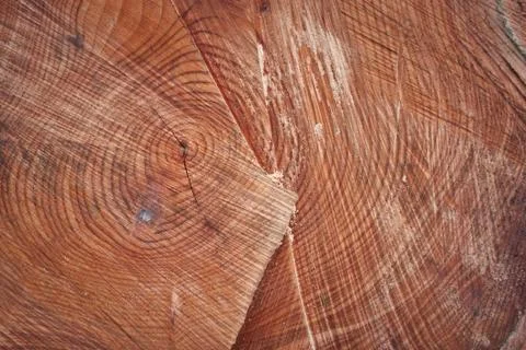 Wood Stock Photos