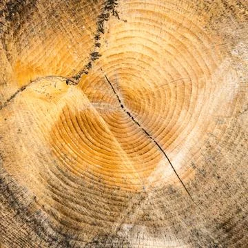 Wood Stock Photos