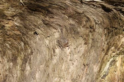 Wood Stock Photos
