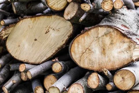 Wood Stock Photos