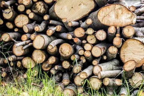 Wood Stock Photos