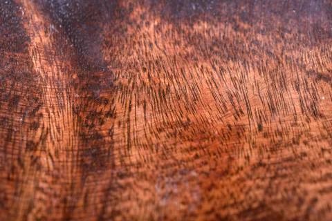 Wood Foto stock