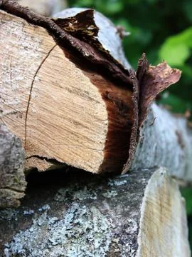 Wood Stock Photos