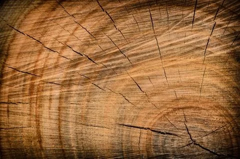 Wood Stock Photos