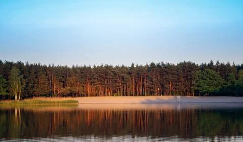 Wood Stock Photos