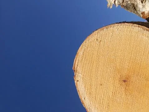Wood Stock Photos