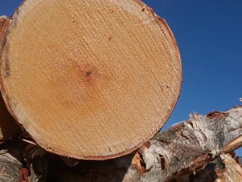 Wood Stock Photos