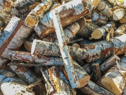 Wood Stock Photos