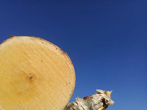 Wood Stock Photos