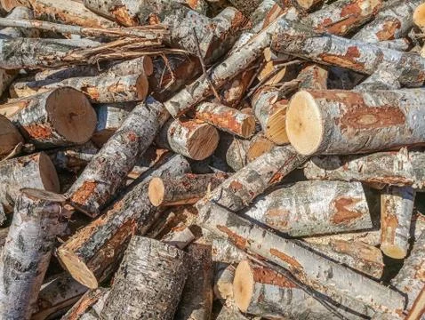 Wood Stock Photos