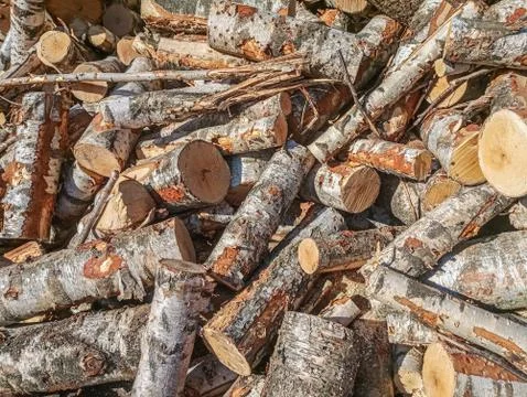 Wood Stock Photos