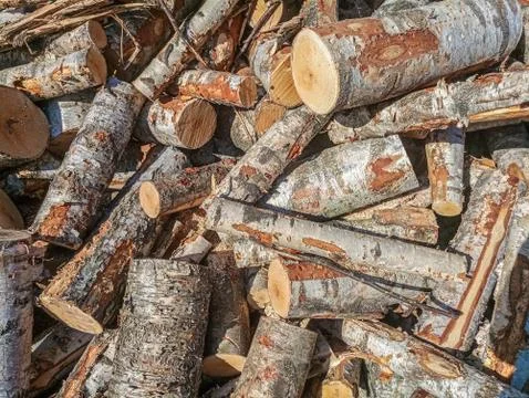 Wood Stock Photos