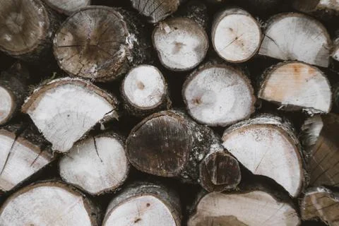 Wood Stock Photos