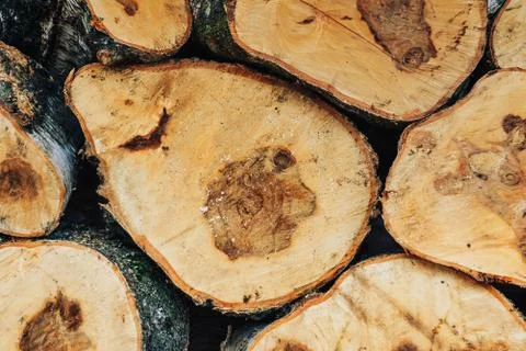 Wood Stock Photos