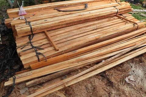 Wood Foto stock