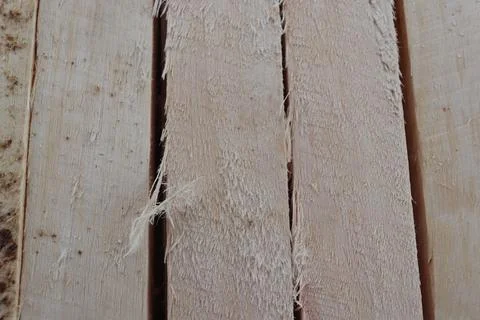 Wood Foto stock