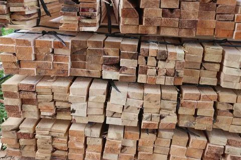 Wood Foto stock