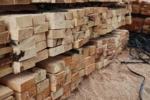 Wood Foto stock