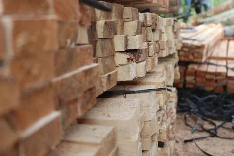 Wood Foto stock