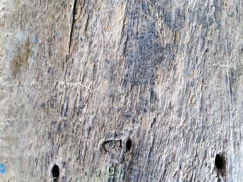 Wood Stock Photos