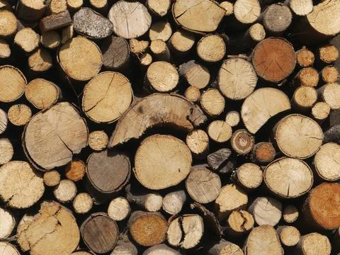 Wood 스톡 사진
