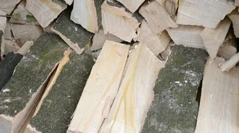 Wood pile Stock Footage 12283627