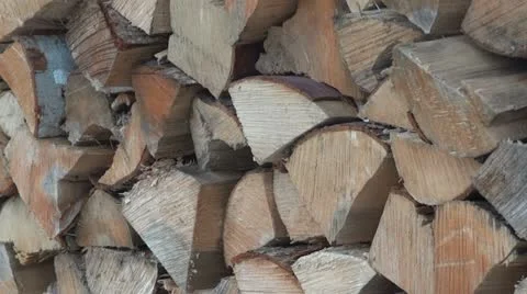 Wood Pile Vidéo 22020428