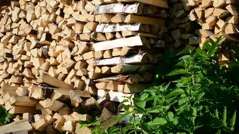 Wood pile Stock Footage 110843467