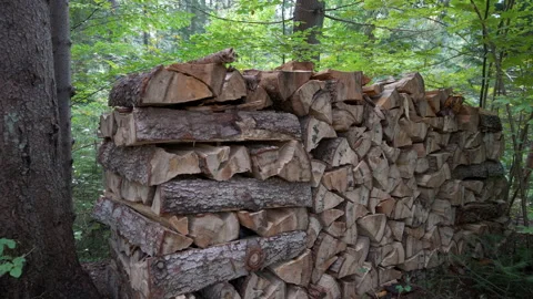 Wood pile in the forest. Log trunks pile, the logging timber wood industry. Stock Footage 158971606