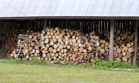 Wood pile Stock Photos
